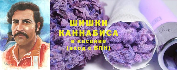 ГАЛЛЮЦИНОГЕННЫЕ ГРИБЫ Балахна