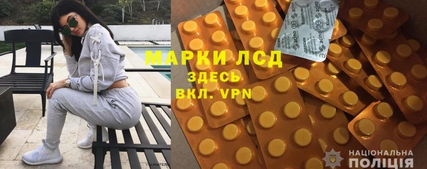 ГАЛЛЮЦИНОГЕННЫЕ ГРИБЫ Балахна