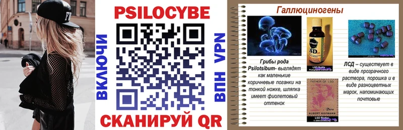 кракен вход Корсаков Галлюциногенные грибы Psilocybe